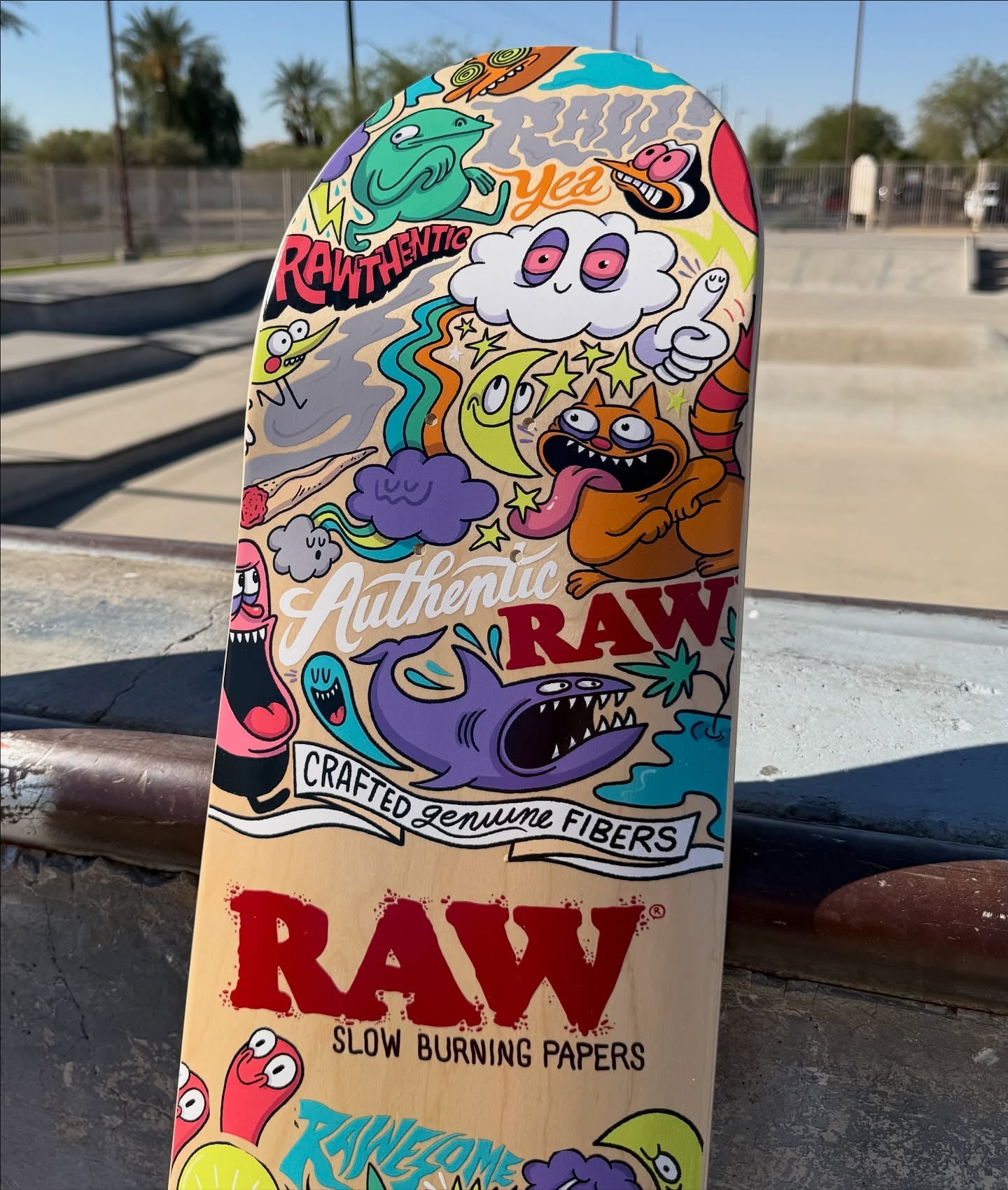 RAW Collage Art Skate Deck