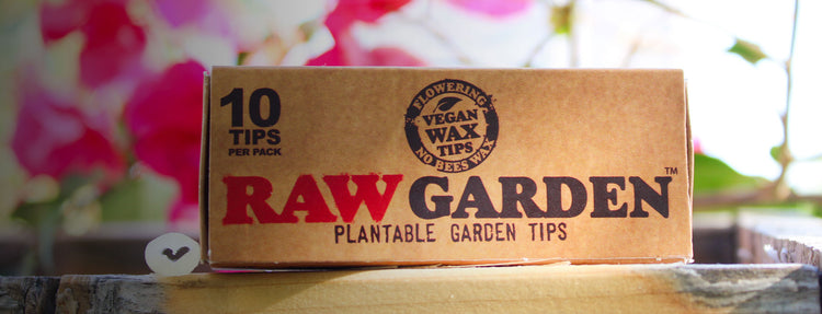 RAW Garden Plantable Wax Tips