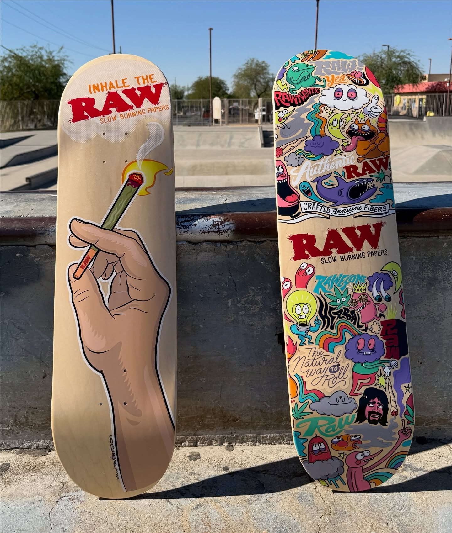 RAW Collage Art Skate Deck
